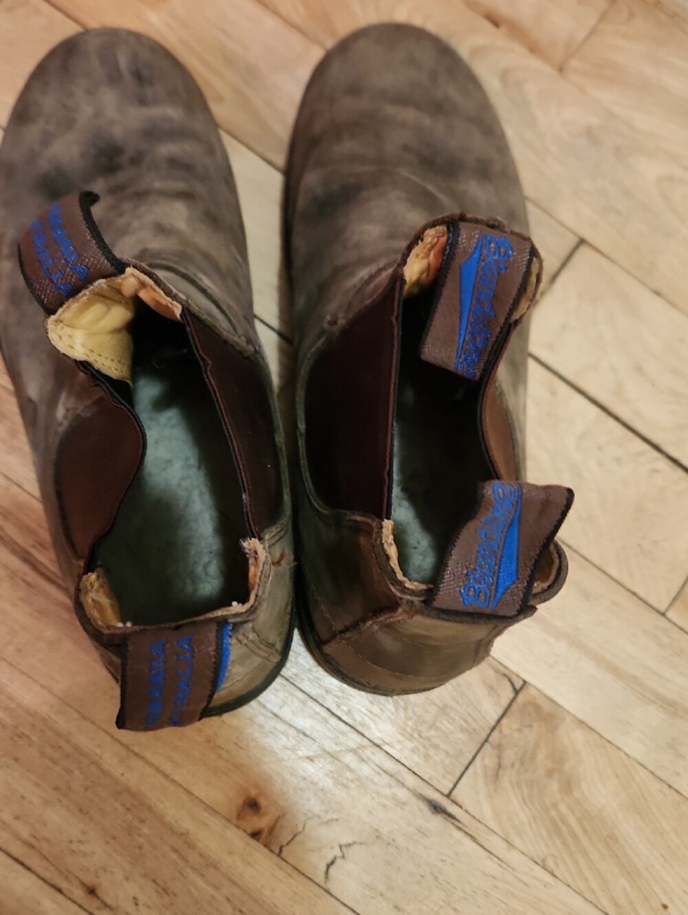Blundstone Brown Chelsea Ankle Boots - Picture 7 of 12